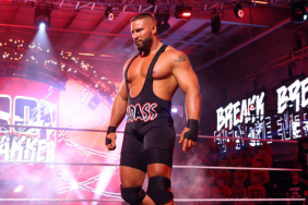WWE Superstar Bron Breakker