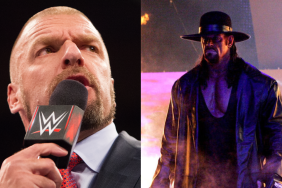WWE Superstars Triple H and The Undertaker