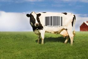 Food, Inc. Streaming: Watch and Stream Online via Hulu and Peacock