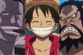 One-Piece-Luffy-Defeats