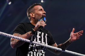 WWE Superstar CM Punk