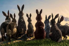Watership Down.