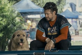 Arthur the King: Does the Dog Die or Survive in the Movie?
