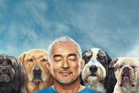 Cesar Millan: Better Human, Better Dog Season 1 Streaming: Watch & Stream Online via Disney Plus