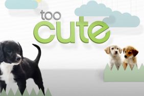 Too Cute! (2011) Season 1 Streaming: Watch & Stream Online via HBO Max