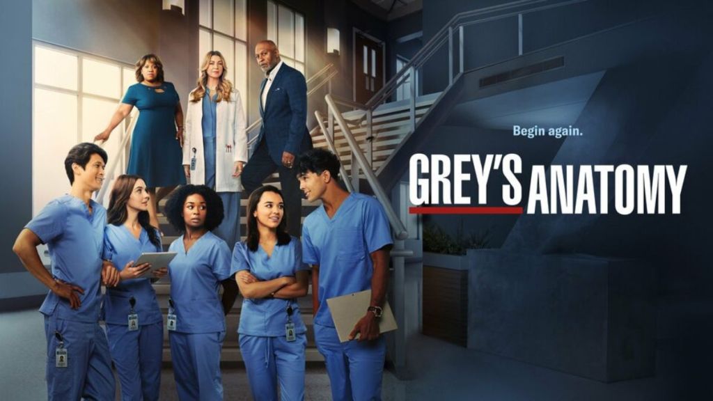 Grey's Anatomy Season 20 Streaming: Watch & Stream Online via Hulu