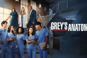 Grey's Anatomy Season 20 Streaming: Watch & Stream Online via Hulu
