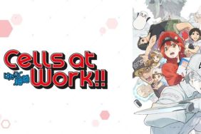 Cells at Work! Season 1 Streaming: Watch and Stream Online via Crunchyroll