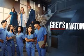 Will There Be a Grey's Anatomy Season 21 Release Date & Is It Coming Out?