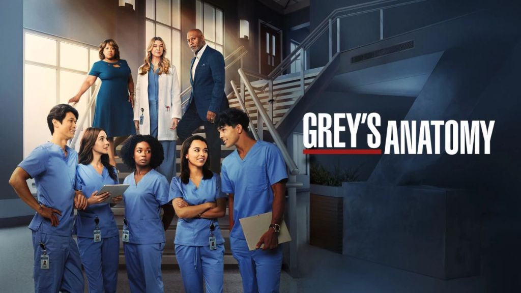 Will There Be a Grey's Anatomy Season 21 Release Date & Is It Coming Out?