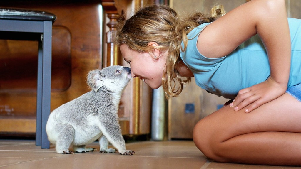 Izzy's Koala World Season 1 Streaming: Watch & Stream Online via Netflix