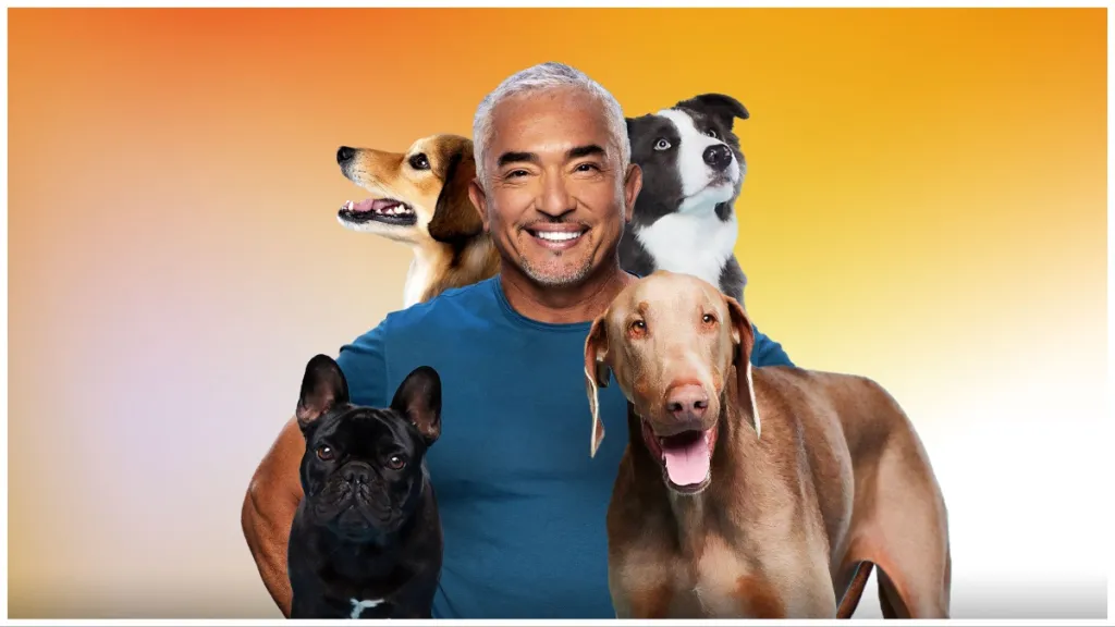 Cesar Millan: Better Human, Better Dog Season 3 Streaming: Watch & Stream Online via Hulu & Disney Plus