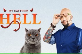 My Cat From Hell (2011) Season 8 Streaming: Watch & Stream Online via HBO Max