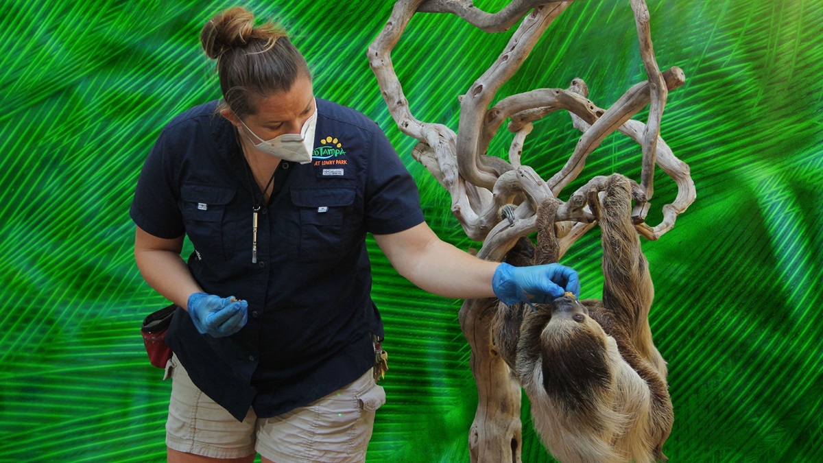 Secrets of the Zoo: Tampa Season 2 Streaming: Watch & Stream Online via