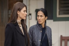 The Cleaning Lady Season 3 How Many Episodes
