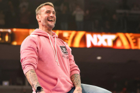 WWE Superstar CM Punk