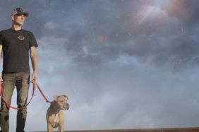 Dog: Impossible Season 1 Streaming: Watch & Stream Online via Disney Plus