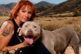 Pit Bulls & Parolees Season 3 Streaming: Watch & Stream Online via HBO Max