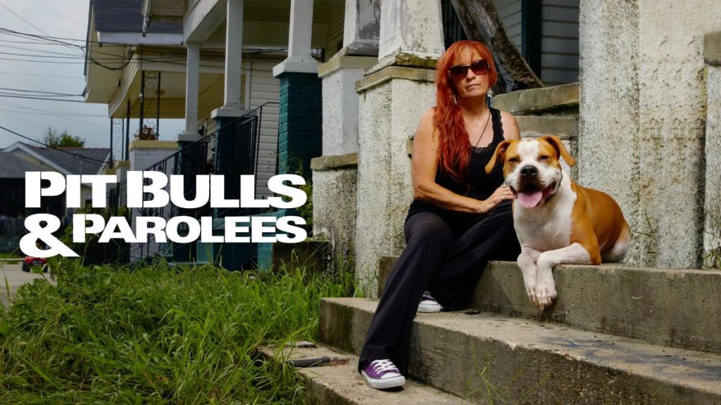 Pit Bulls & Parolees Season 10 Streaming