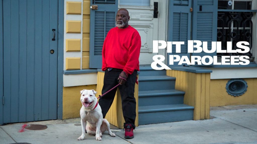 Pit Bulls & Parolees Season 17 Streaming