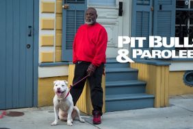 Pit Bulls & Parolees Season 17 Streaming