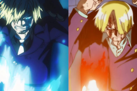 Vinsmoke Sanji