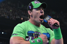WWE Superstar John Cena