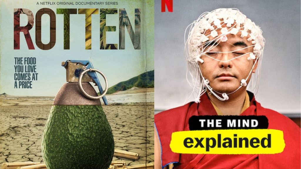 Best Medical Documentaries on Netflix: The Mind Explained, Rotten & More