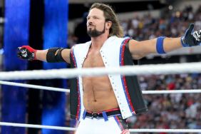 WWE Superstar AJ Styles