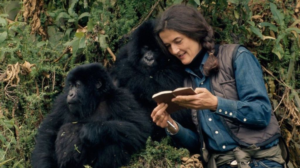 Dian Fossey: Secrets in the Mist Season 1 Streaming: Watch & Stream Online via Disney Plus & Amazon Prime Video