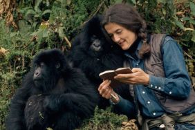 Dian Fossey: Secrets in the Mist Season 1 Streaming: Watch & Stream Online via Disney Plus & Amazon Prime Video