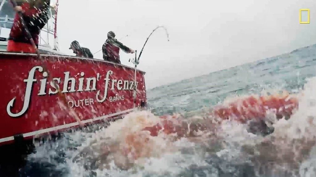 Wicked Tuna: Outer Banks (2014) Season 3 Streaming: Watch & Stream Online via Disney Plus
