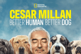 Cesar Millan: Better Human, Better Dog Season 2