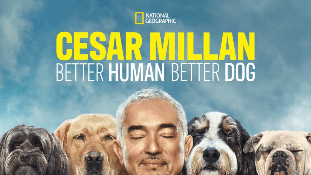 Cesar Millan: Better Human, Better Dog Season 2 Streaming: Watch & Stream Online via Disney Plus