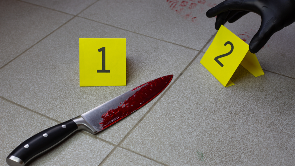 Mean Girl Murders on ID: Why Did Tanaya Lewis Kill Danyna Gibson?