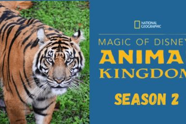 Magic of Disney's Animal Kingdom (2020) Season 2 Streaming: Watch & Stream Online via Disney Plus