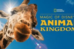 Magic of Disney's Animal Kingdom (2020) Season 1 Streaming: Watch & Stream Online via Disney Plus
