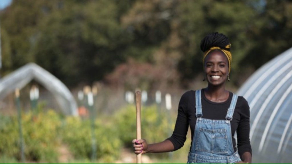 Homegrown Season 4 Streaming: Watch & Stream Online via HBO Max