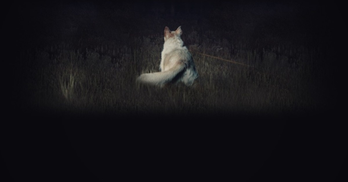 It Comes at Night Streaming: Watch & Stream Online via HBO Max
