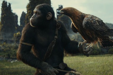 Kingdom of the Planet of the Apes Timeline