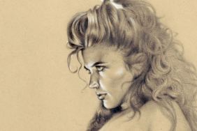 Dave Stevens: Drawn to Perfection