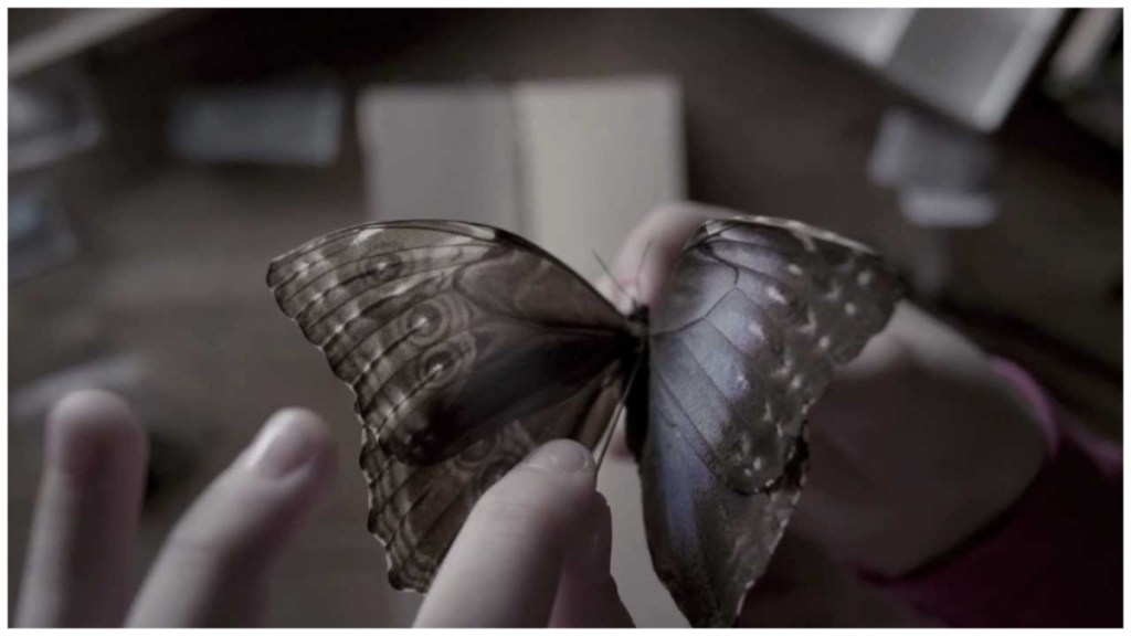 The Butterfly Room Streaming: Watch & Stream Online via Amazon Prime Video
