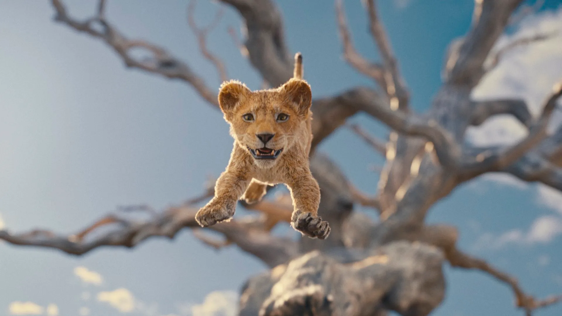 Mufasa The Lion King Trailer Previews Disney's Prequel Movie