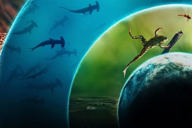 Our Living World Season 1: How Many Episodes & When Do New Episodes Come Out?