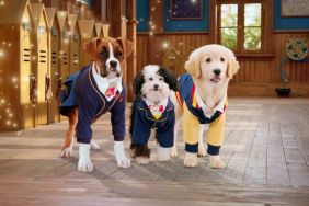 Pup Academy (2019) Season 1 Streaming: Watch & Stream Online via Netflix