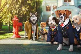 Pup Academy (2019) Season 2 Streaming: Watch & Stream Online via Netflix