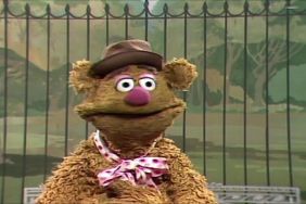 The Muppet Show (1976) Season 1 Streaming: Watch & Stream Online via Disney Plus