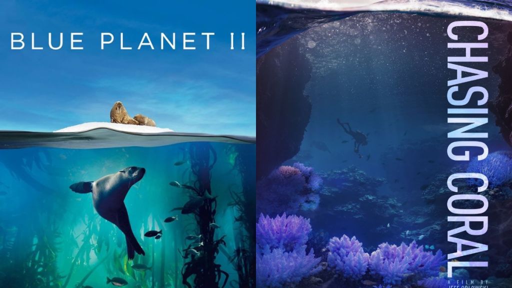 Best Ocean Documentaries: Blue Planet, Chasing Coral & More