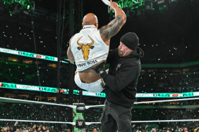 WWE Superstar The Undertaker