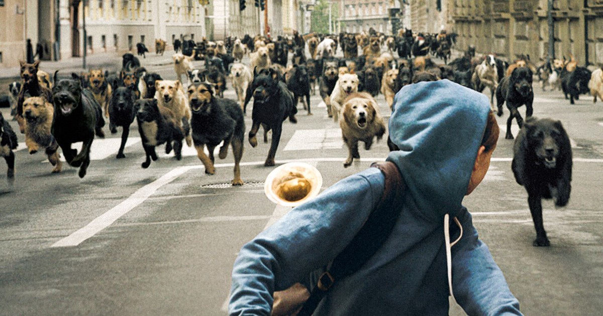White God Streaming: Watch & Stream Online via Hulu